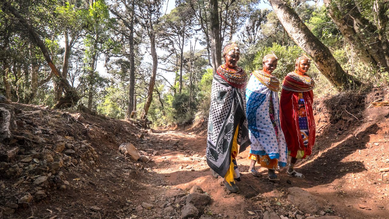 Indigenous Communities Lead Global Forest Conservation as Governments Lag Behind